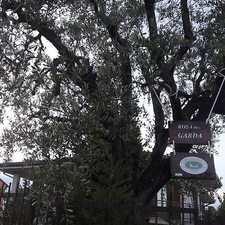 B&B Rosa Del Garda Лацизе Экстерьер фото