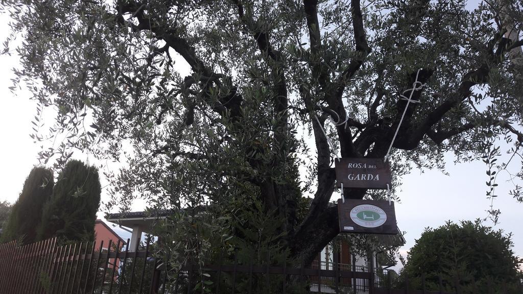B&B Rosa Del Garda Лацизе Экстерьер фото